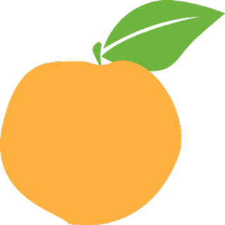 Funding Priority List Item
